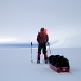 Sarek 1