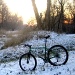 Winter Oberwald Trail